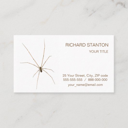 Spider Visitenkarte (Vorderseite)