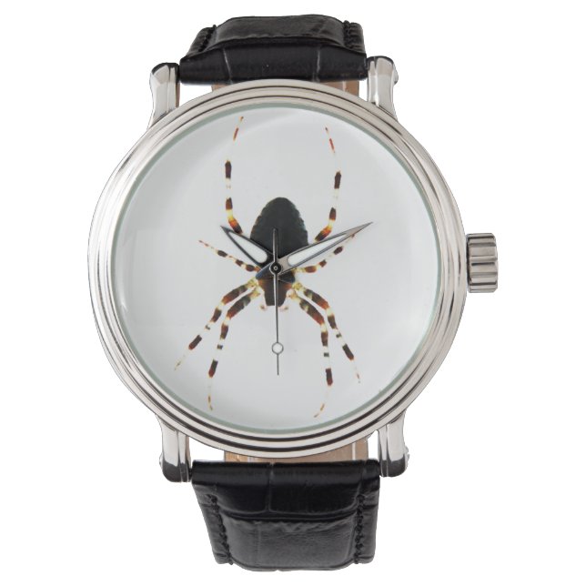 Spider Wacna Armbanduhr (Vorderseite)