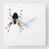 Spider - Wall Clock Quadratische Wanduhr (Vorderseite)