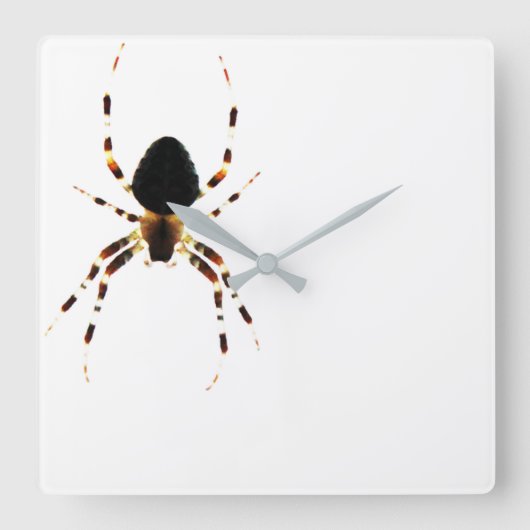 Spider Wall Clock Quadratische Wanduhr (Vorderseite)