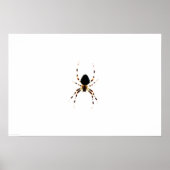 Spider Wapcn Poster (Vorne)
