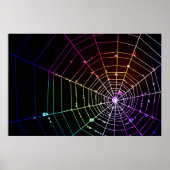 Spider Web 1 Print Poster (Vorne)