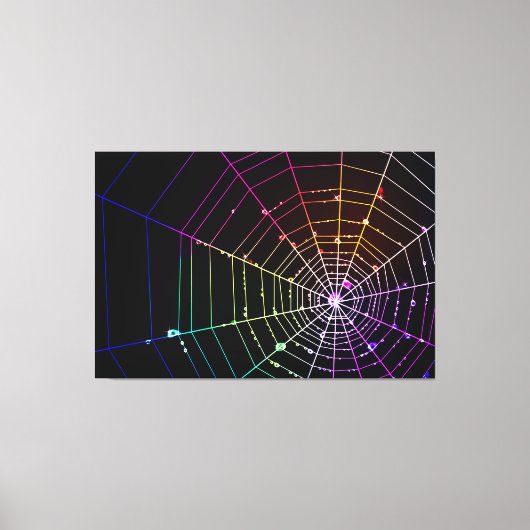 Spider Web 1 Wrapped Canvas Leinwanddruck (Vorderseite)