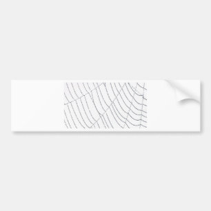 Spider Web Autoaufkleber