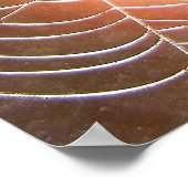 Spider Web bei Nachtfotografie Arachnologie Poster (Ecke)