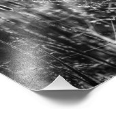 Spider Web Black and White Nature Fine Art Fotodruck (Ecke)