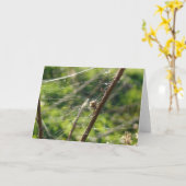 Spider Web Bokeh Karte (Gelbe Blume)