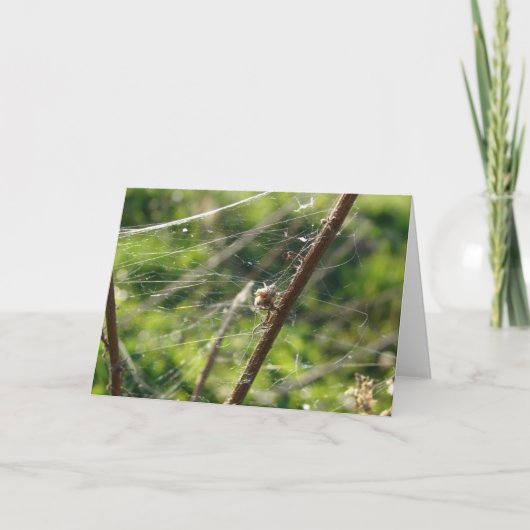 Spider Web Bokeh Karte (Vorderseite)