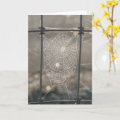 Spider Web Card Karte (Gelbe Blume)