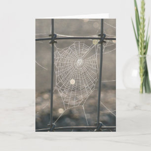 Spider Web Card Karte