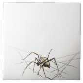 Spider Web Fliese (Vorderseite)