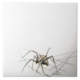 Spider Web Fliese