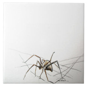 Spider Web Fliese