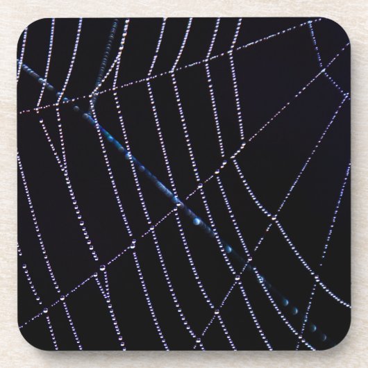 Spider Web Getränkeuntersetzer (Vorderseite)