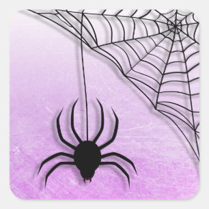 Spider Web Halloween Schwarze und Lila Sticker