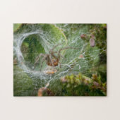Spider Web Insect Wildlife Jigsaw Puzzle (Horizontal)