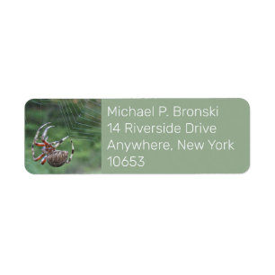Spider web internet return address label