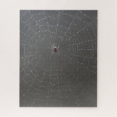 Spider Web Jigsaw Puzzle (Vertikal)