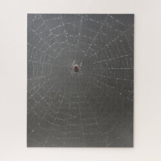 Spider Web Jigsaw Puzzle (Vertikal)