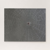 Spider Web Jigsaw Puzzle (Horizontal)