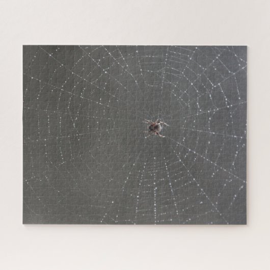 Spider Web Jigsaw Puzzle (Horizontal)