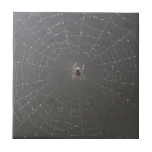 Spider Web Keramik Tiles Fliese (Vorderseite)
