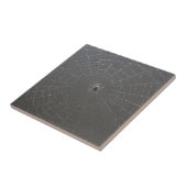 Spider Web Keramik Tiles Fliese (Seite)