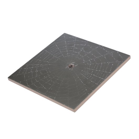 Spider Web Keramik Tiles Fliese (Seite)