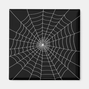 Spider Web Magnet