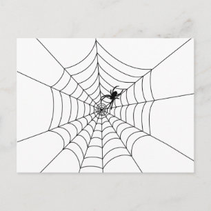Spider Web Postcard Postkarte