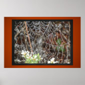 Spider Web Poster (Vorne)