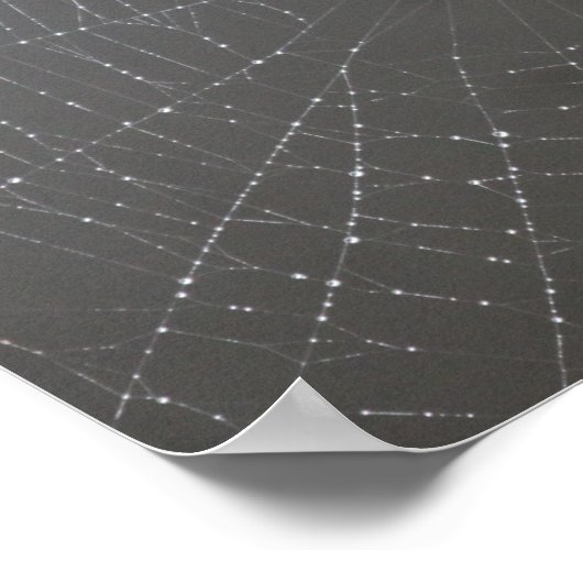 Spider Web Poster (Ecke)