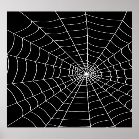 Spider Web Poster (Vorne)