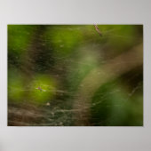 Spider Web Poster (Vorne)