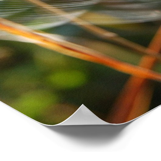 Spider Web Poster (Ecke)