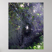 Spider Web Poster (Vorne)