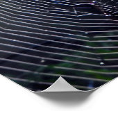 Spider Web Poster (Ecke)