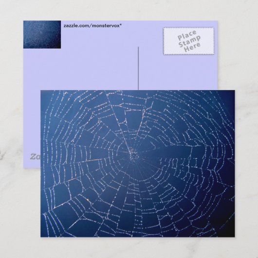 Spider Web Postkarte (Vorne/Hinten)