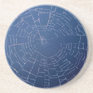 Spider Web Sandstein Untersetzer