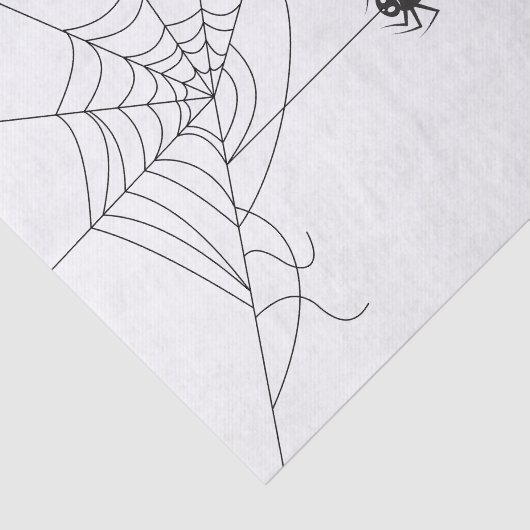 spider web seidenpapier (Ausschnitt)