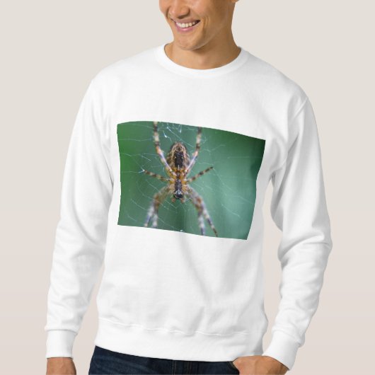 Spider Web Sweatshirt (Vorderseite)