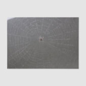 Spider Web Tissue Paper Seidenpapier (Vorderseite)