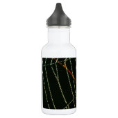 Spider Web Trinkflasche (Links)