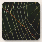 Spider Web Untersetzer (Vorderseite)