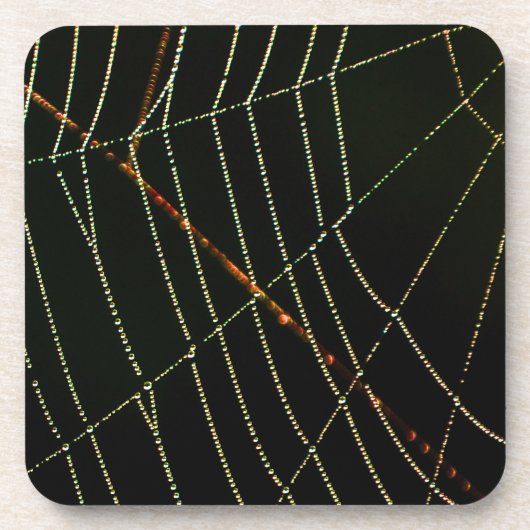 Spider Web Untersetzer (Vorderseite)