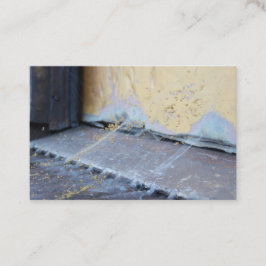 Spider Web Visitenkarte