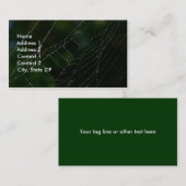 Spider Web Visitenkarte (Vorne/Hinten)