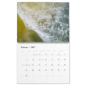 Spider Webs Kalender (Feb 2027)