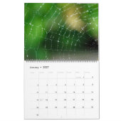 Spider Webs Kalender (Jan 2027)