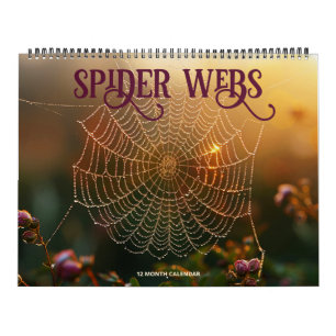 Spider Webs Kalender